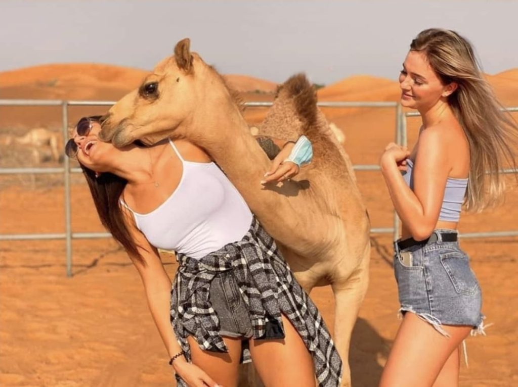 Evening Desert Safari