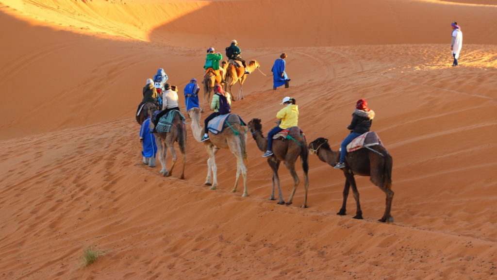 evening desert safari camel ride