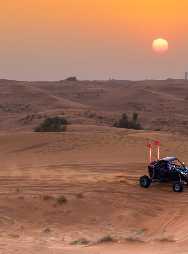 1 Seater Polaris Buggy
