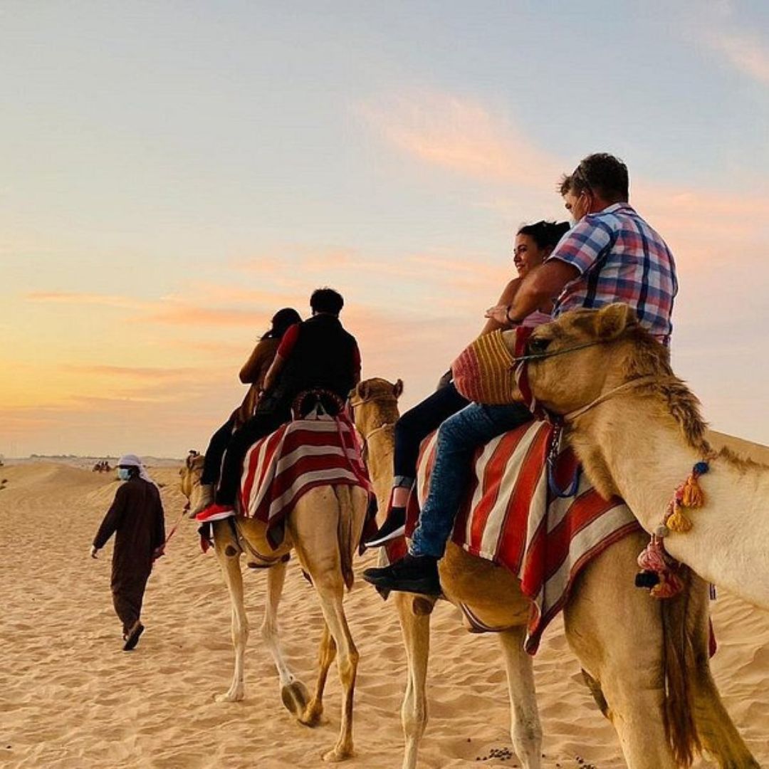 Dubai Desert Safari without Dune Bashing